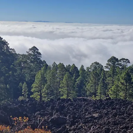 营地 Domo Volcano Experience Piscina Climatizada *