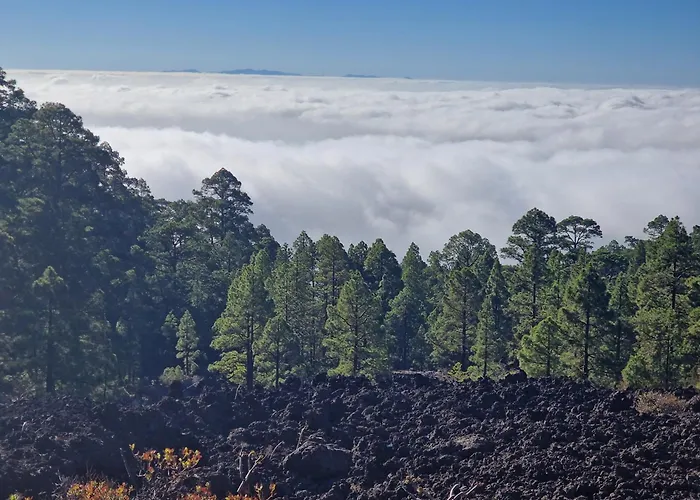 Camping Eco-domo Volcano Experience *