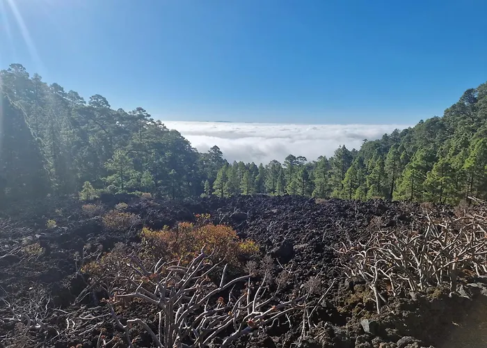 אתר קמפינג Domo Volcano Experience Piscina Climatizada *